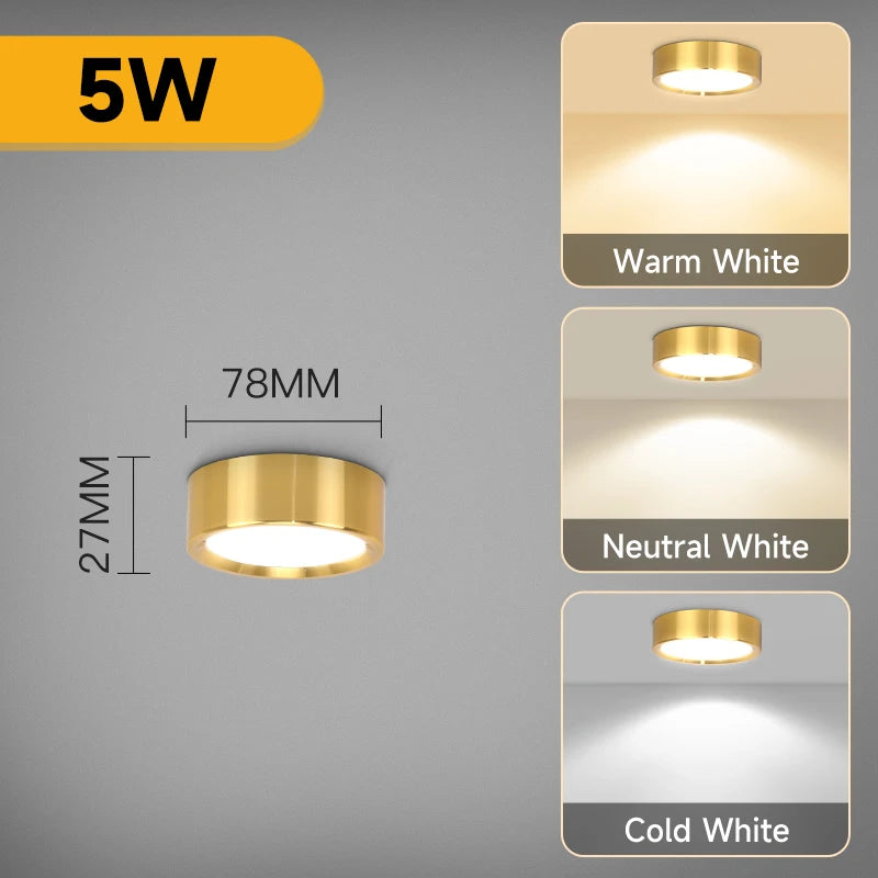 GlowShelf™ LED Wall Shelf ✨🏡(IMPORTED)