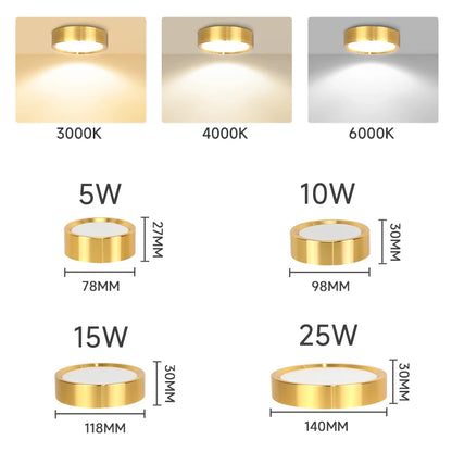 GlowShelf™ LED Wall Shelf ✨🏡(IMPORTED)