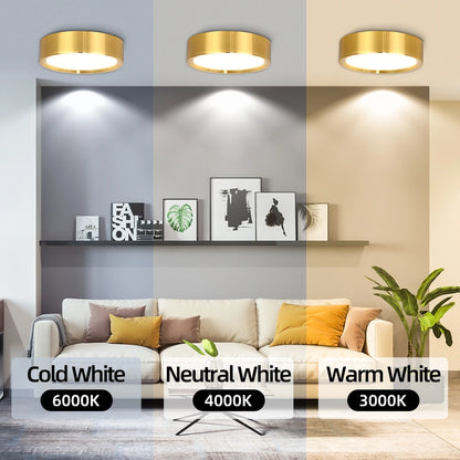 GlowShelf™ LED Wall Shelf ✨🏡(IMPORTED)