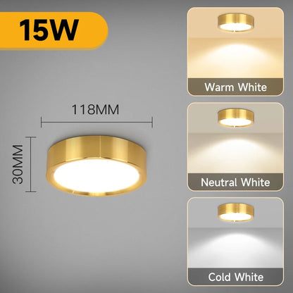 GlowShelf™ LED Wall Shelf ✨🏡(IMPORTED)